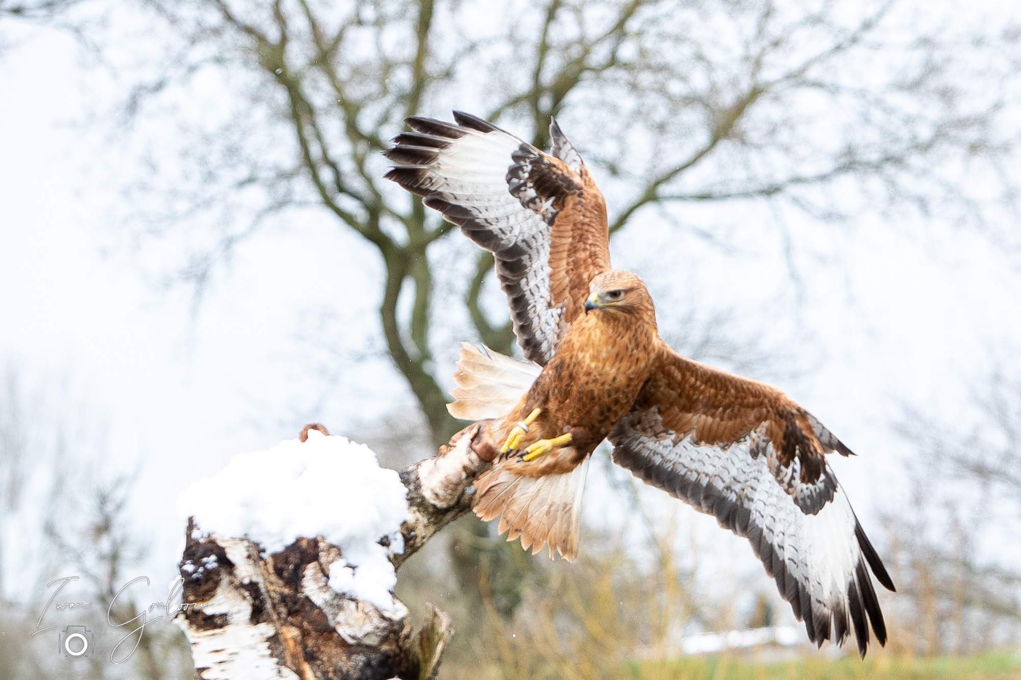 01 april 2022 120439 1DX47373